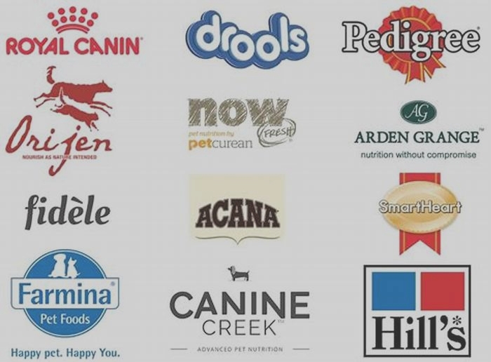 4 dog food brand