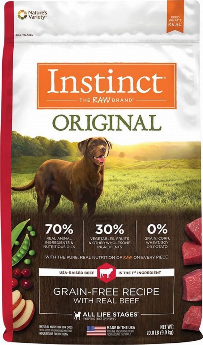 5 best dry dog foods