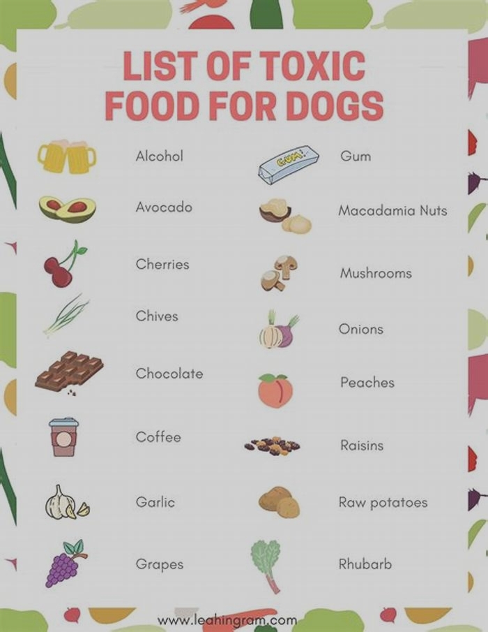 5 human foods toxic to dogs