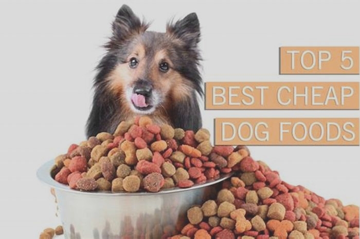 a good cheap dog food