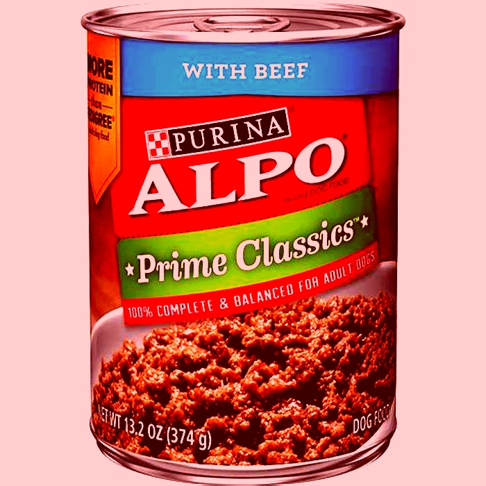 alpo canned dog food walmart