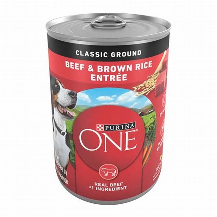 beef and rice wet dog food