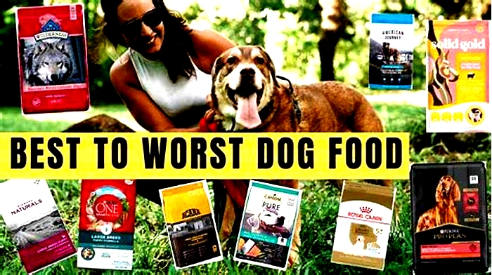 best and worst brands of dog food