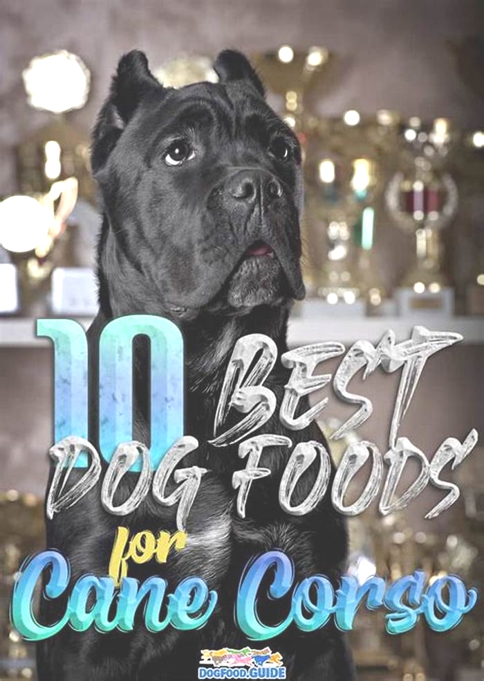 best brand dog food for cane corso