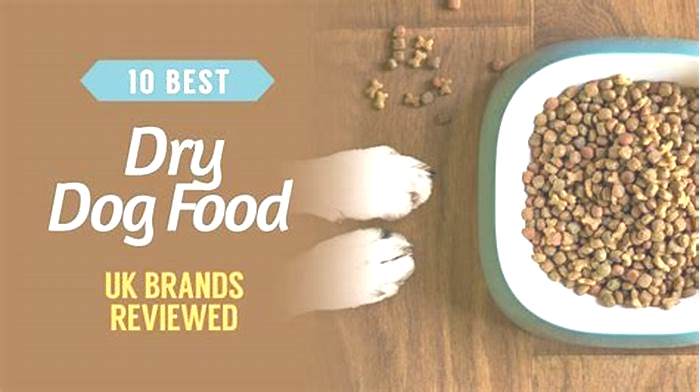 best brand dry dog food uk