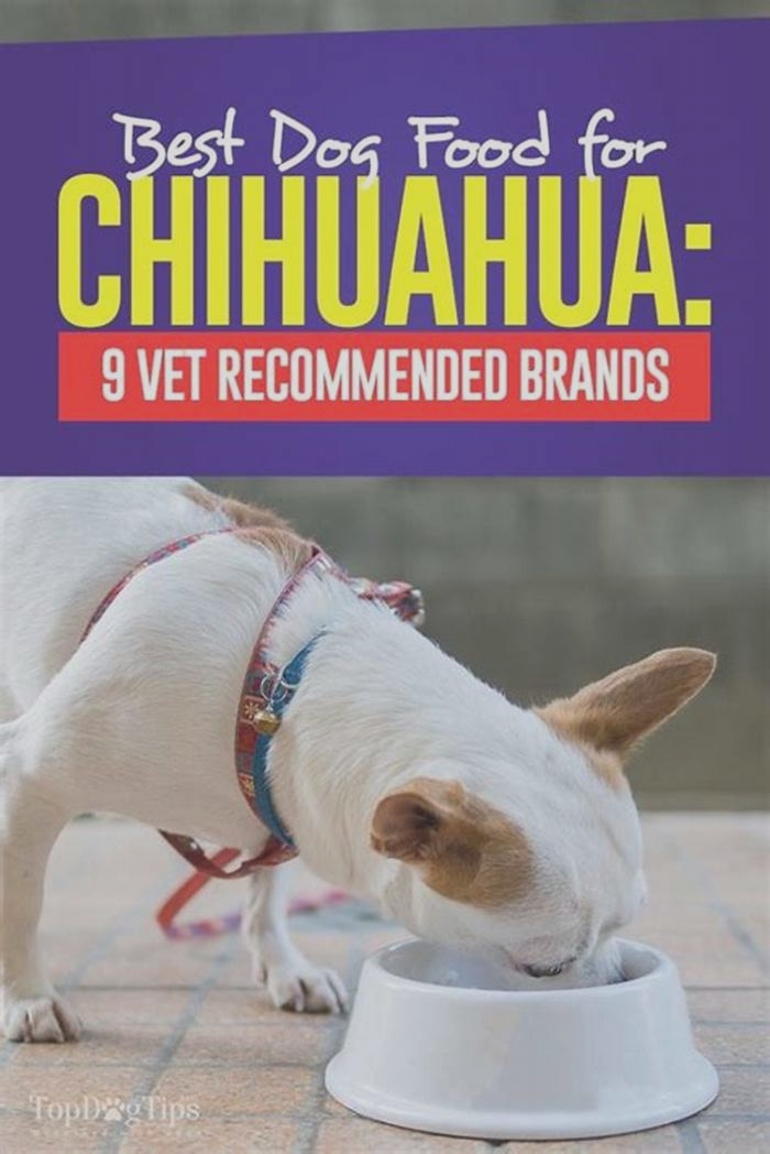 best brand of dog food for chihuahua