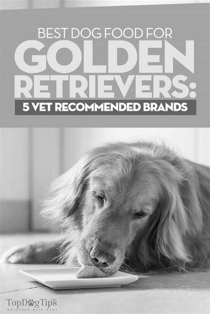 best brand of dog food for golden retriever