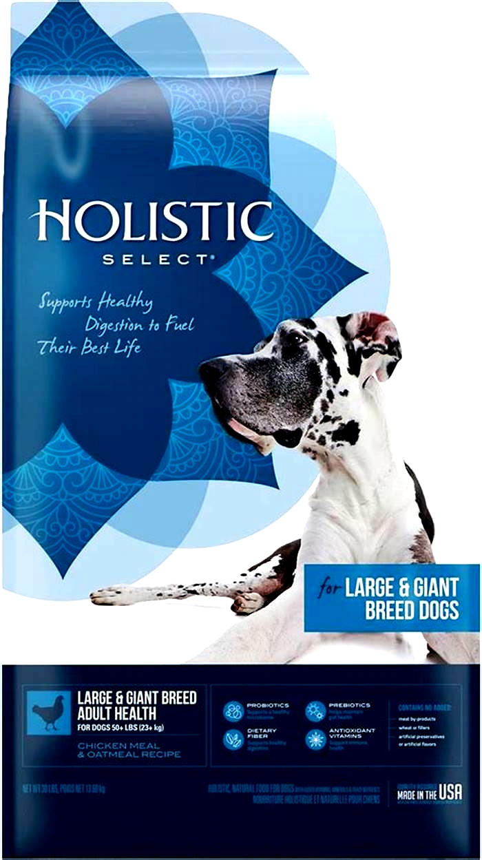 best brand of dog food for great danes