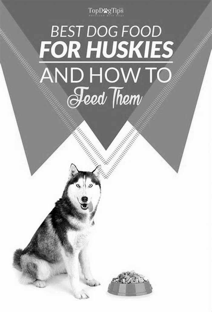 best brand of dog food for huskies