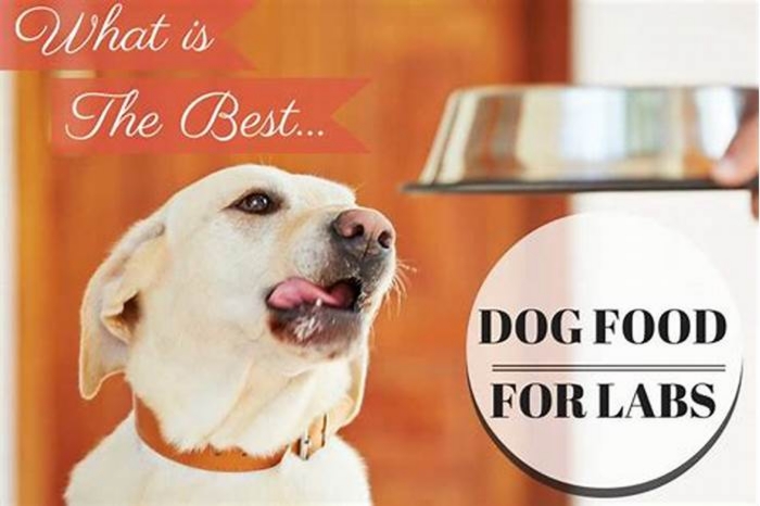 best brand of dog food for labs