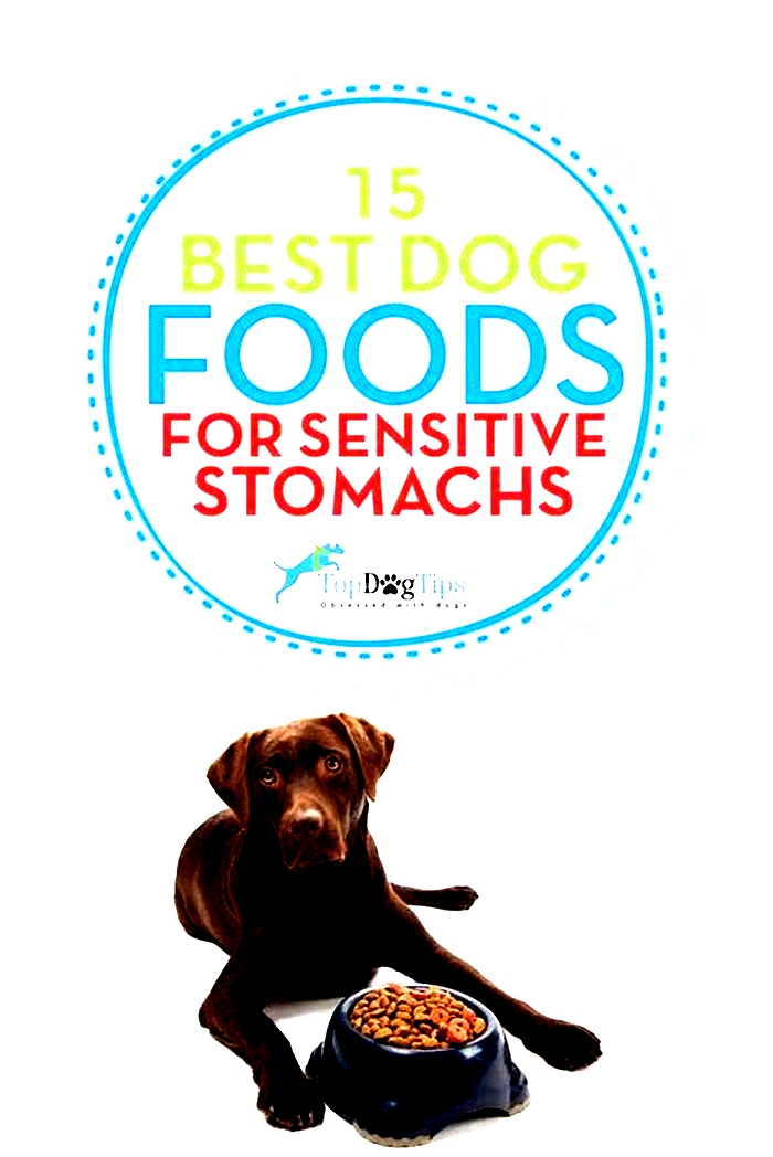 best brand of dog food for sensitive stomachs