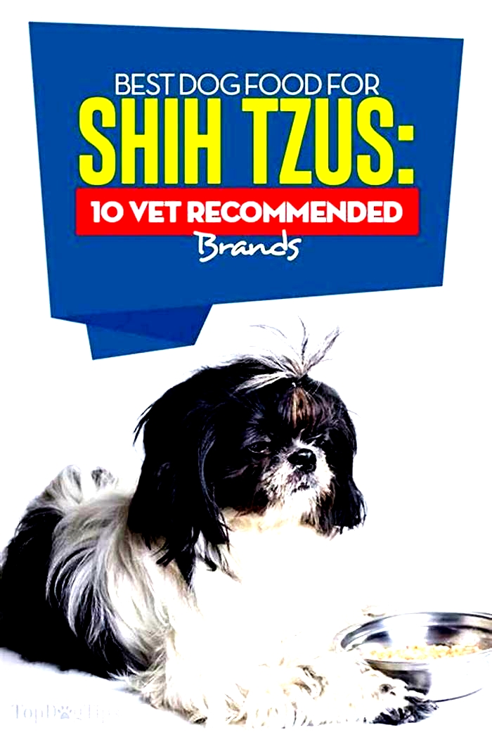 best brand of dog food for shih tzu