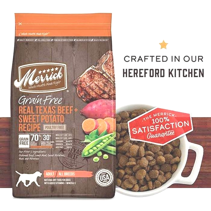 best brand of dog food uk