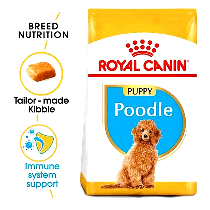 best brand puppy food uk