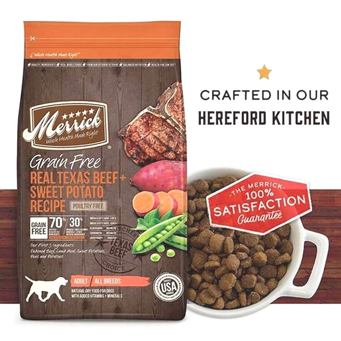 best dog food brands in uk