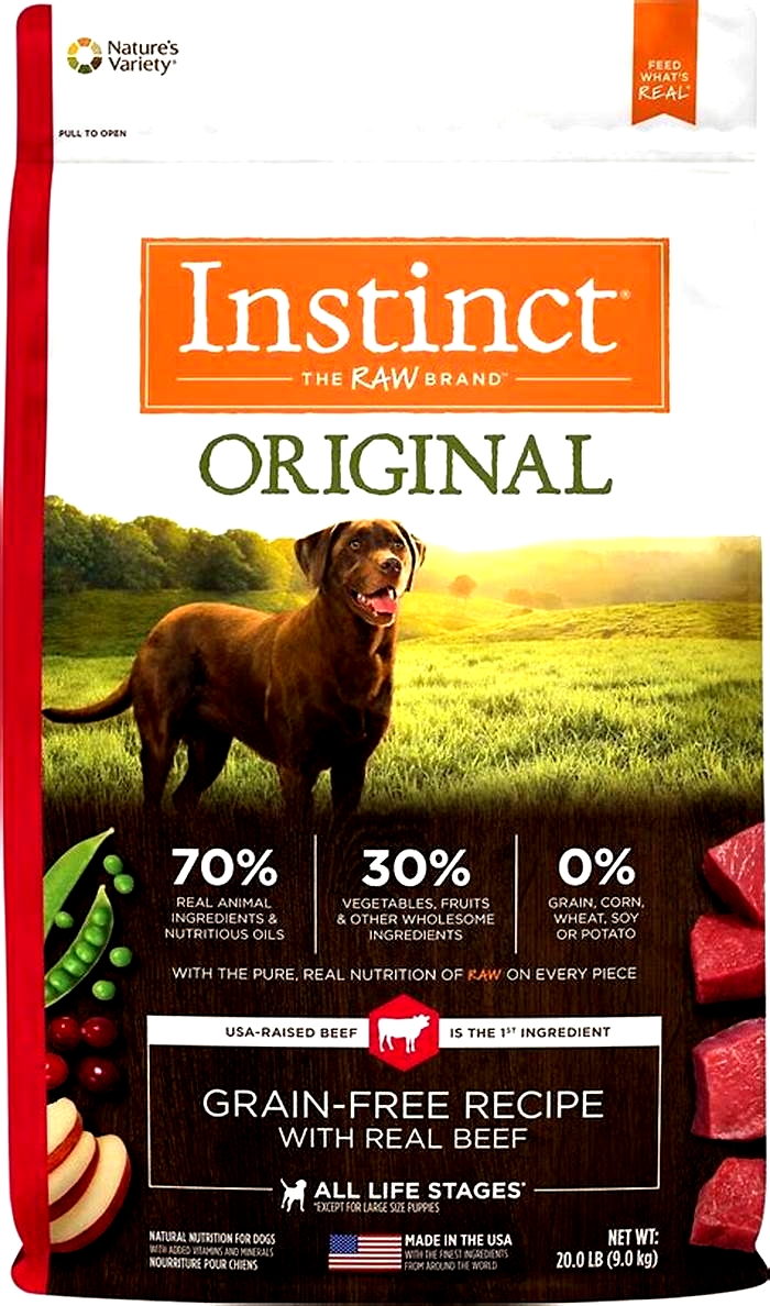 best meat dry dog food