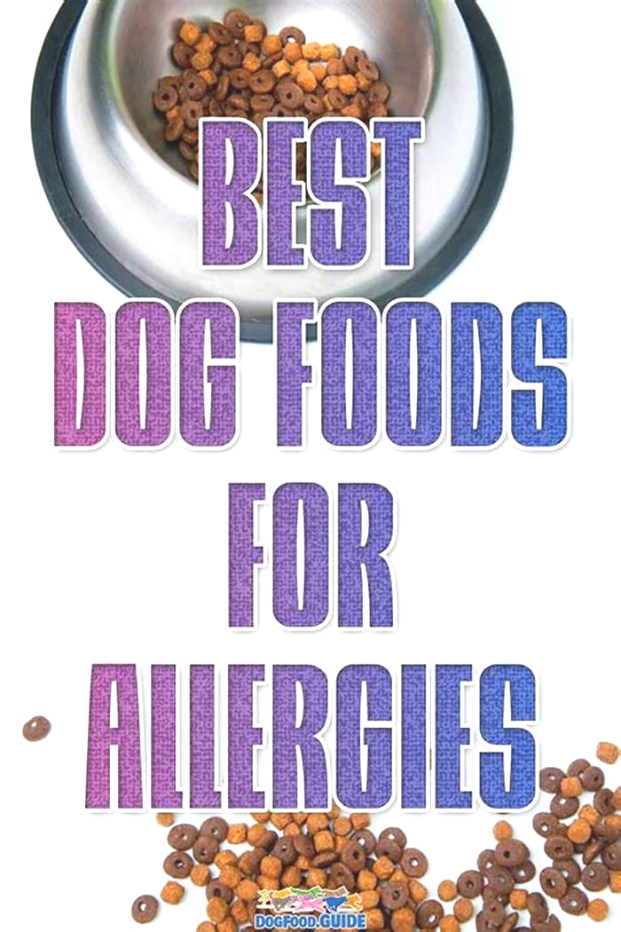 best soft dog food for allergies