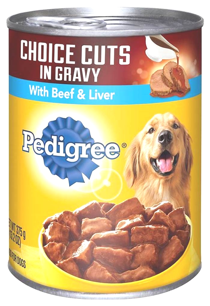 best wet beef dog food