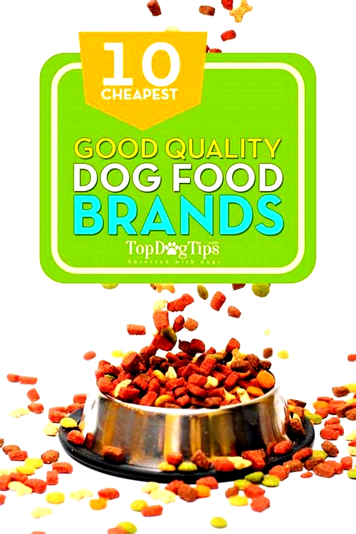 cheap dog food brands