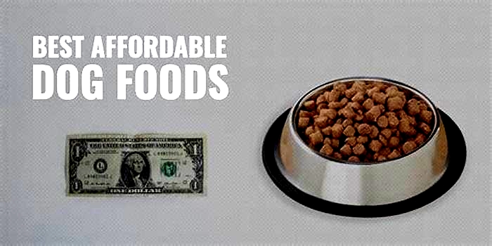 cheapest high-quality dog food