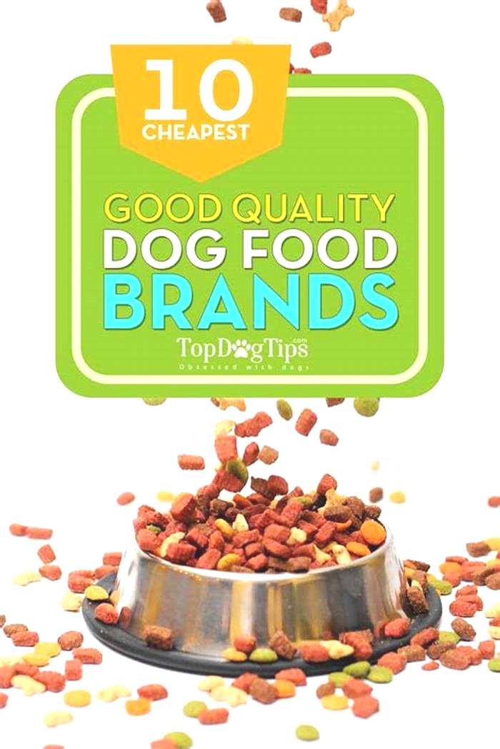 dog food brands cheap