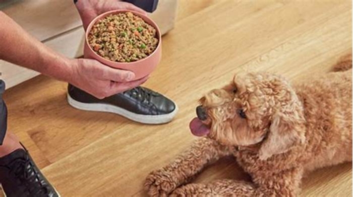 dog food with meat as main ingredient