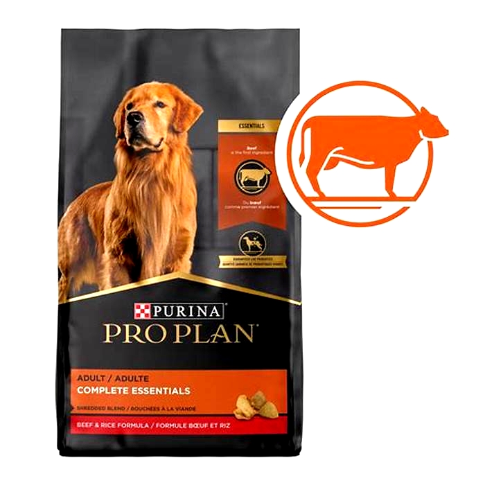 dry dog food with most meat