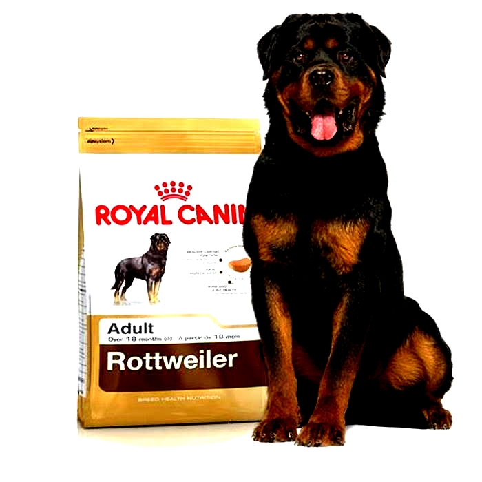 good brand of dog food for rottweilers