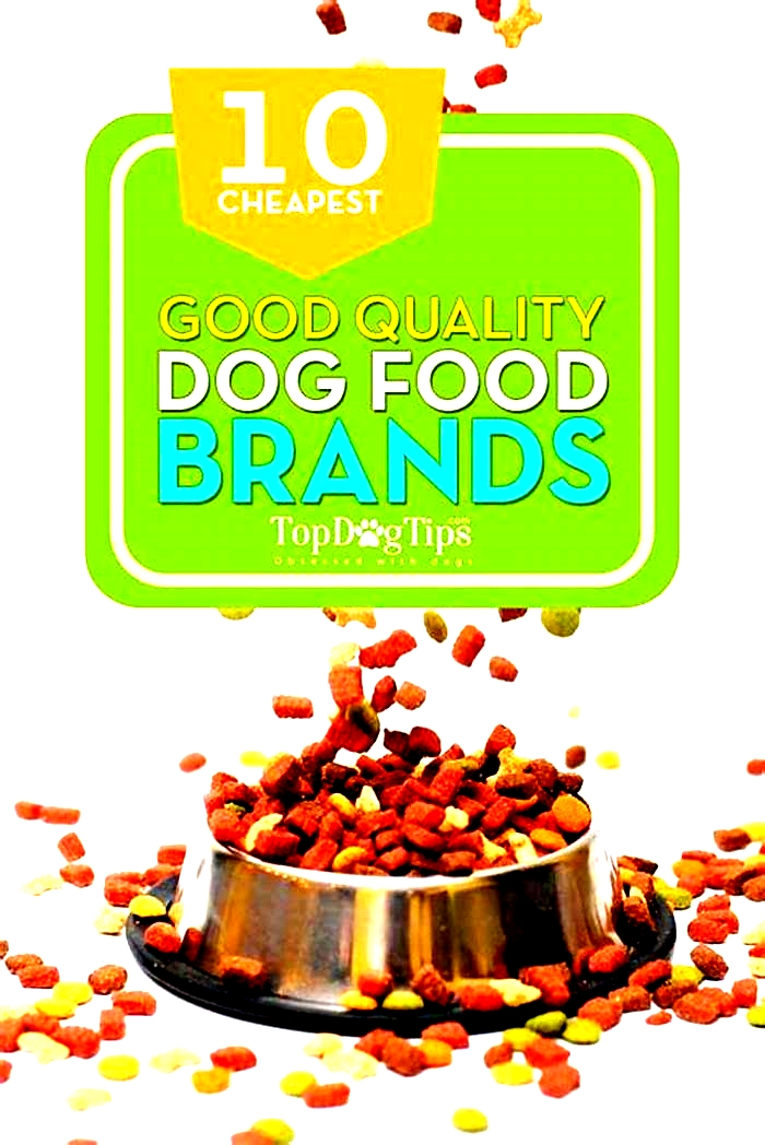 good-brands-of-dog-food-at-walmart