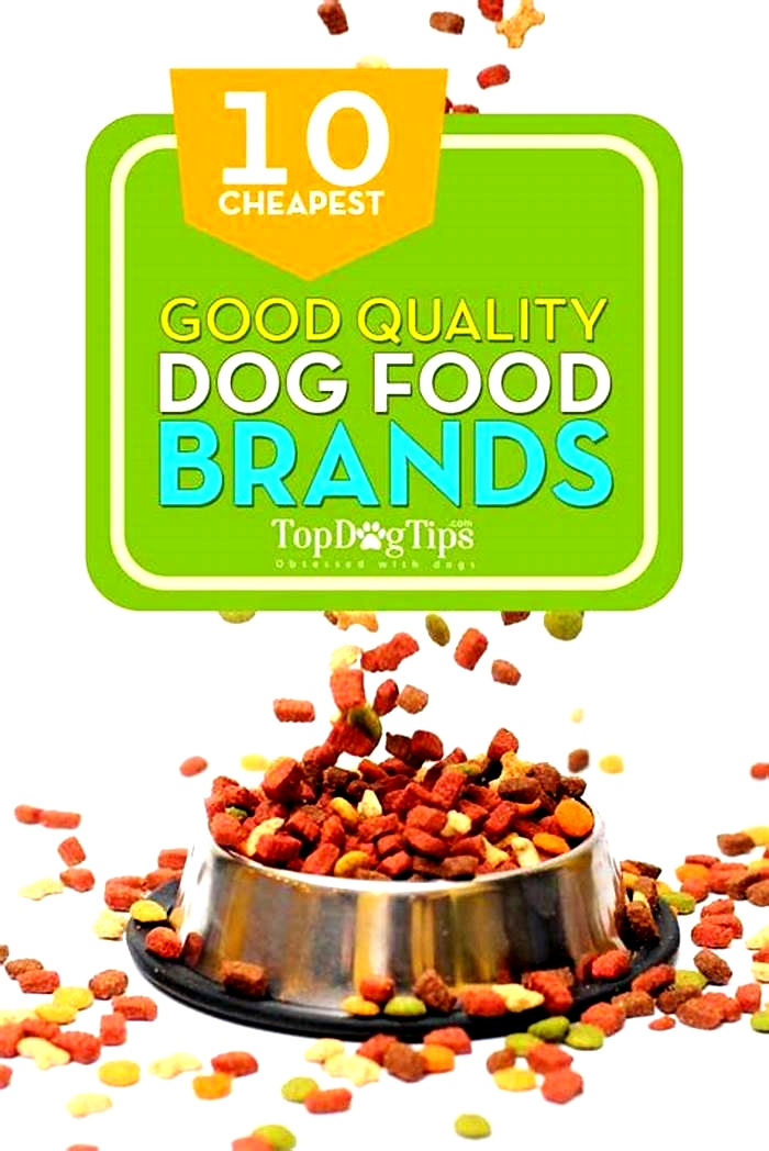 good cheap dog food brands