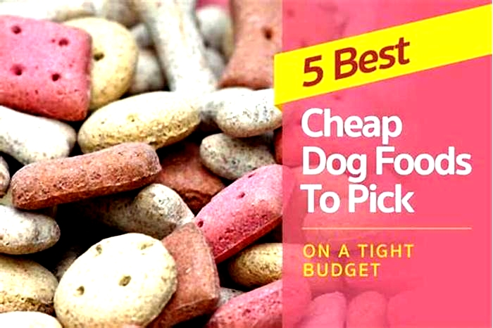 good cheap dog foods