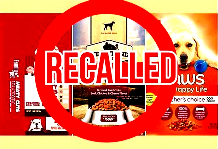 halo wet dog food recall