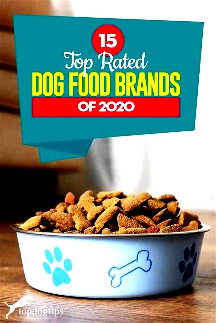 highest rated dog food by vets