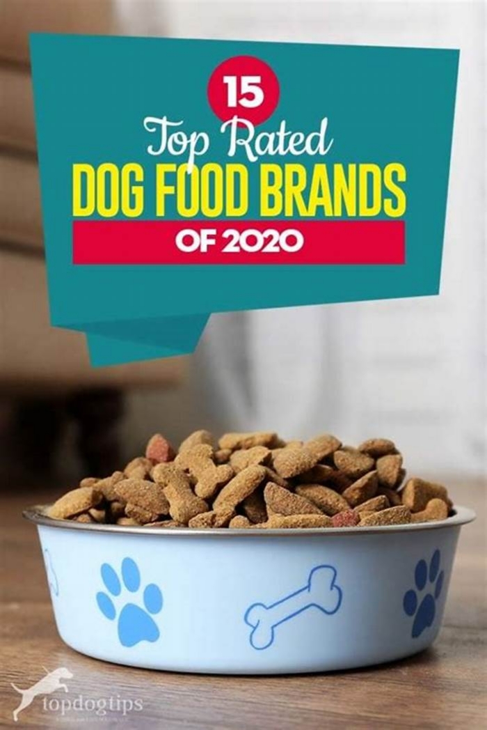 highest rated dog foods