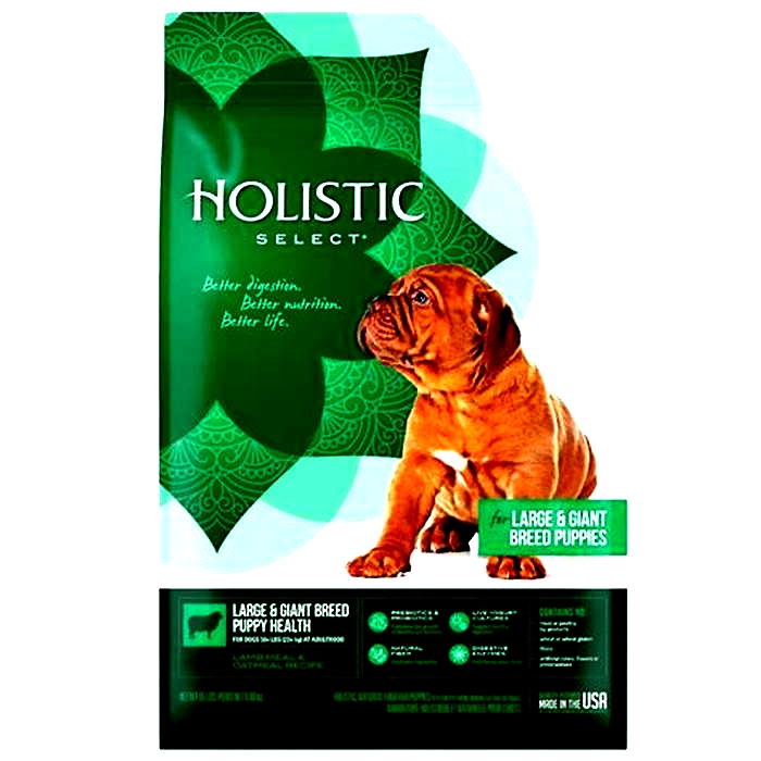 holistic select dog food