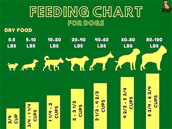 how many calories in moist and meaty dog food