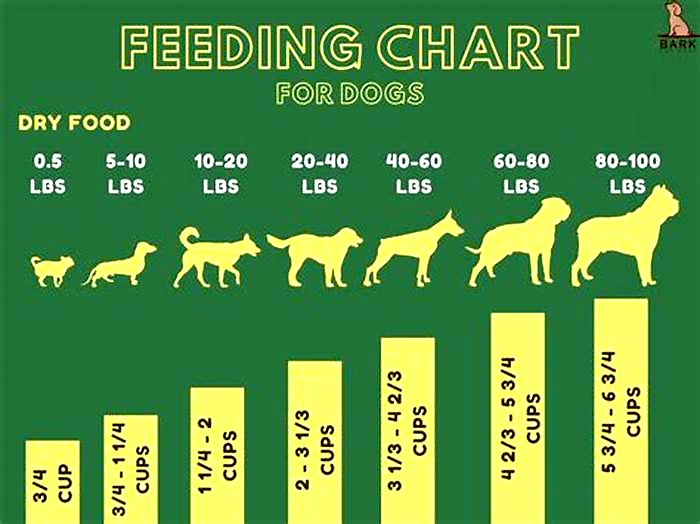 how much moist and meaty should i feed my dog