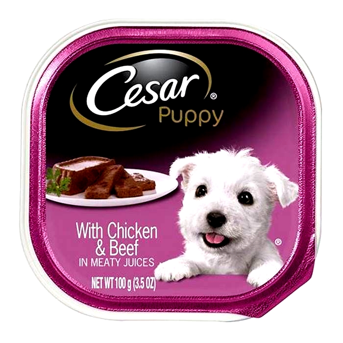 is cesar a good brand of dog food