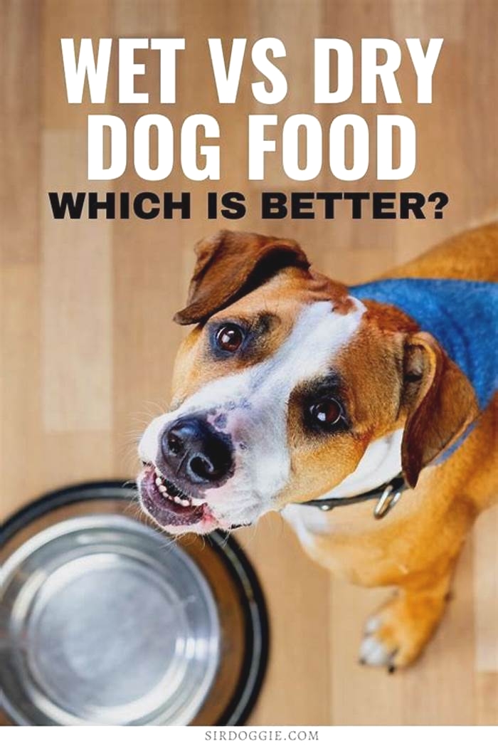 is dry dog food cheaper than wet