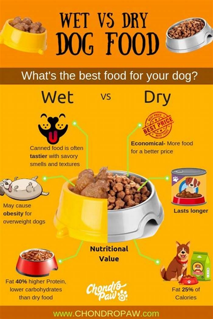 is dry dog food more fattening than wet