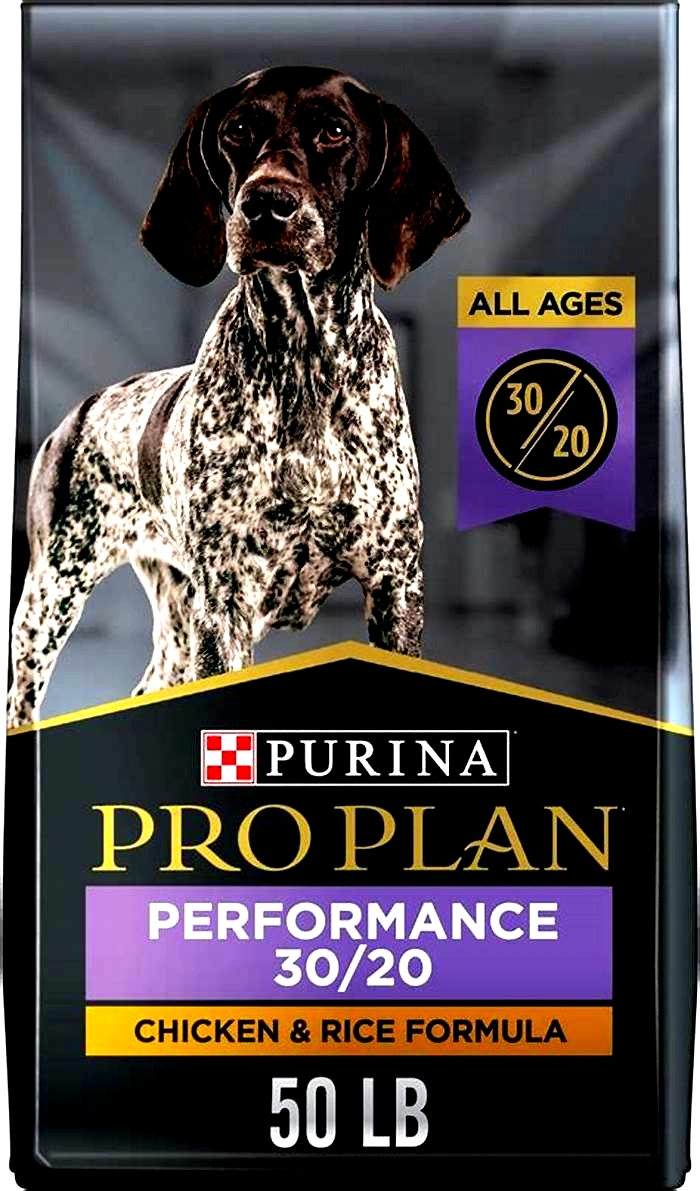 is iams better than purina one