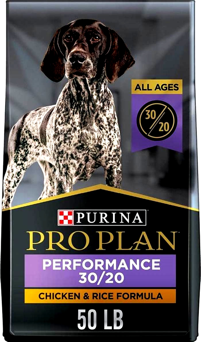 is iams better than purina