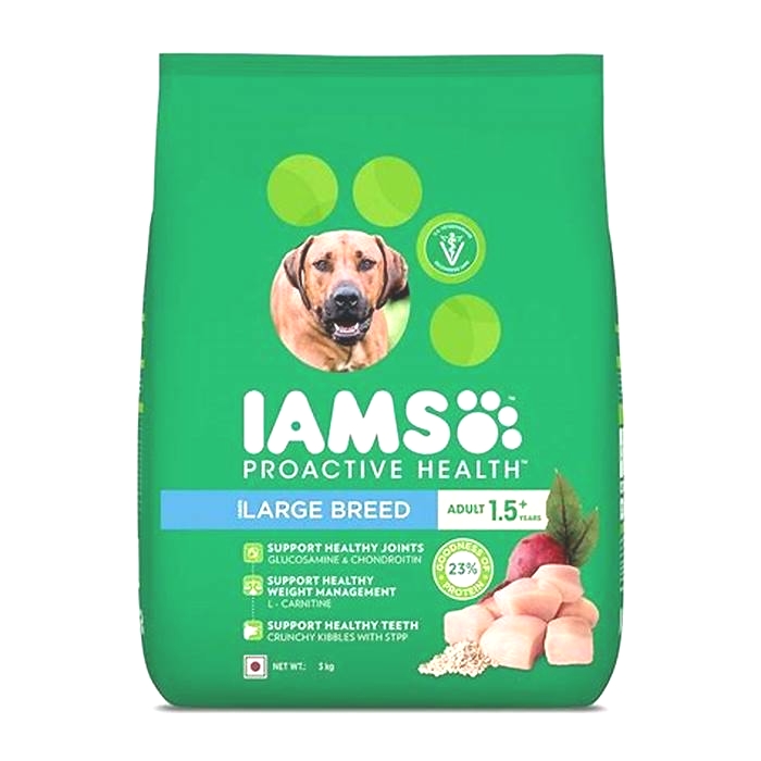 is iams the best dog food