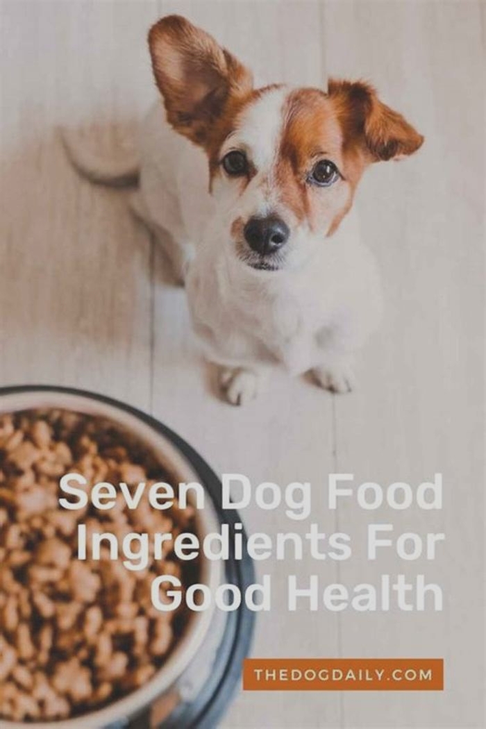 is seven dog food good