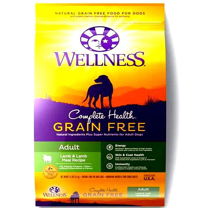 is wellness a good brand of dog food