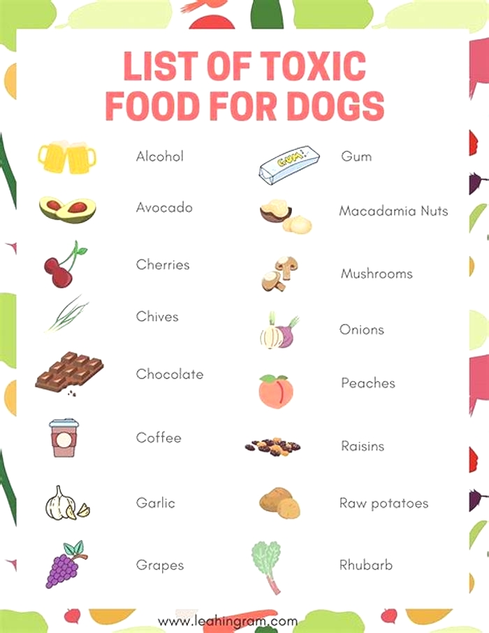 list of toxic foods for dogs pdf