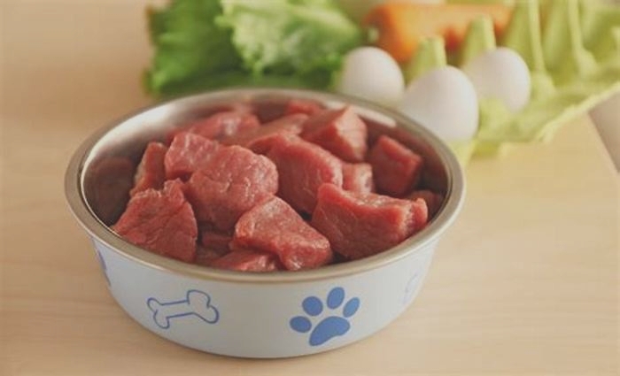 meat content in dog food