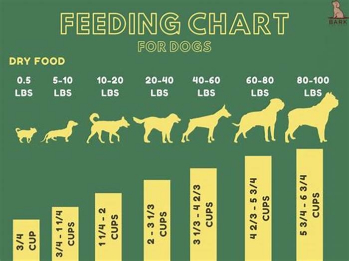 moist and meaty dog food feeding chart