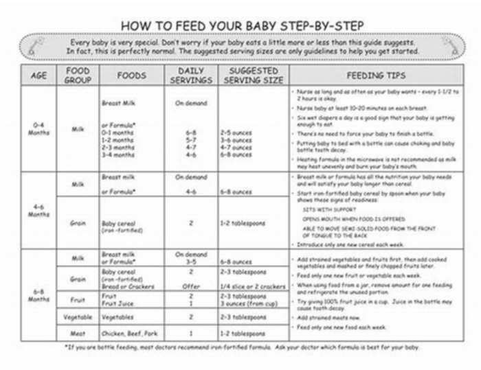 moist and meaty feeding instructions