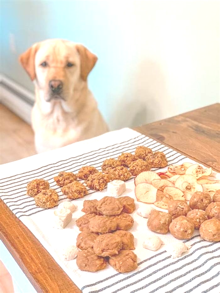 organic dog treats